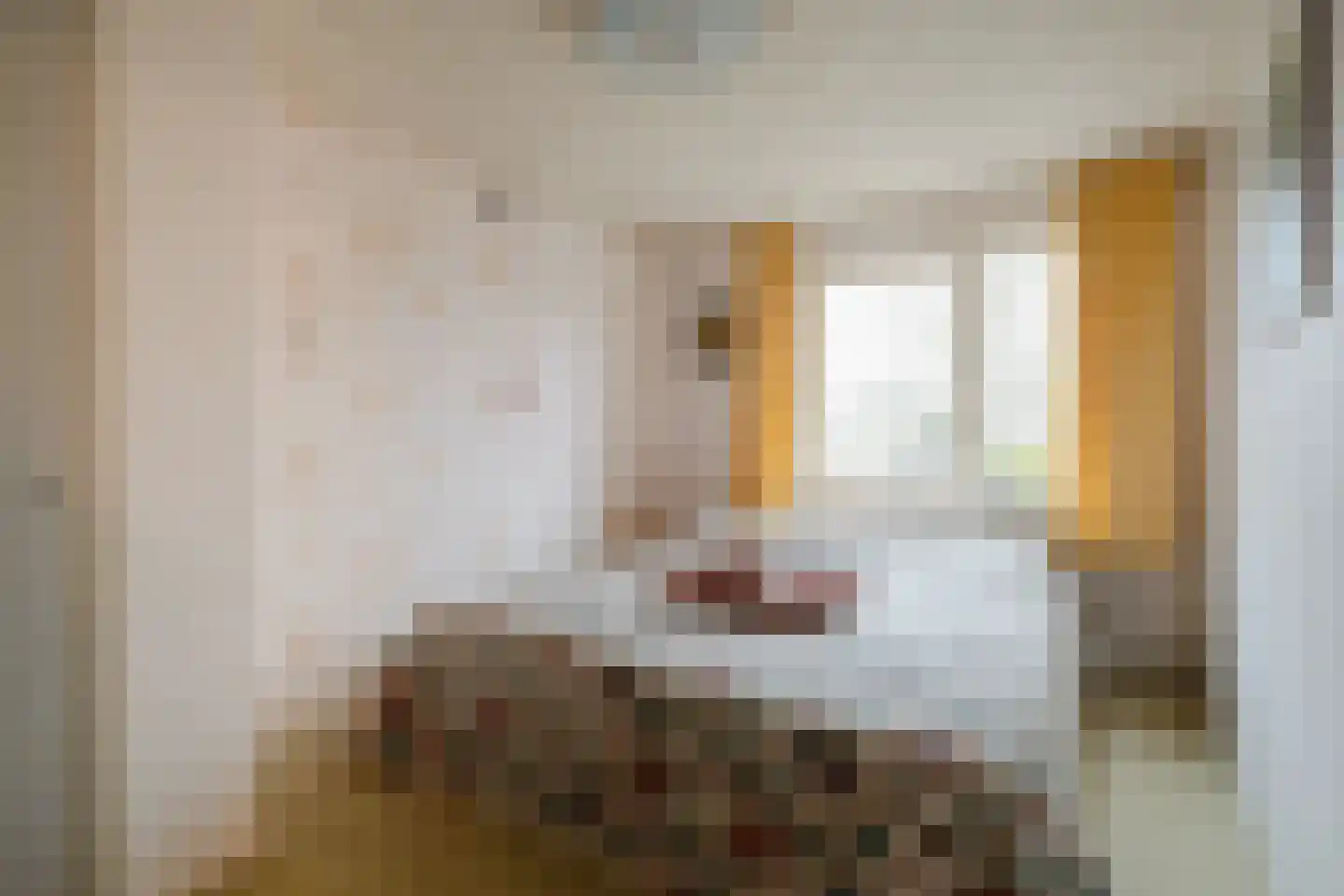 Wilhelminastraat 24 Overdinkel thumbnail 21