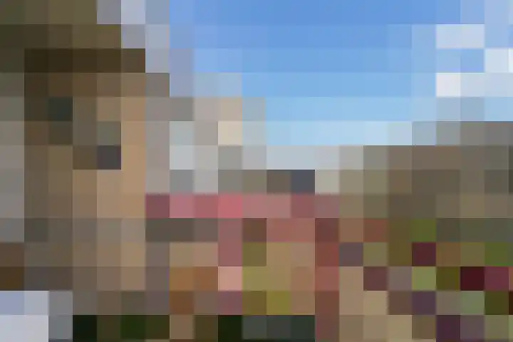 Wilhelminastraat 24 w Waalwijk thumbnail 26