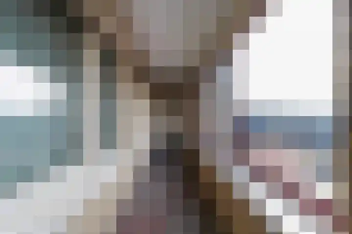Wilhelminastraat 24 w Waalwijk thumbnail 27