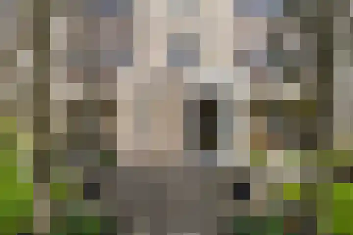 Wilhelminastraat 24 w Waalwijk thumbnail 32