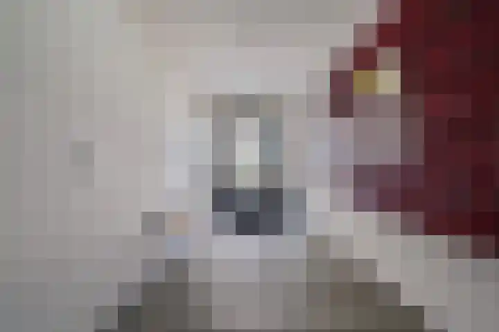 Wilhelminastraat 24 w Waalwijk thumbnail 6