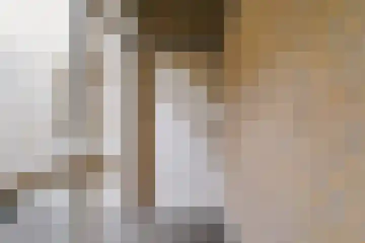 Wilhelminastraat 24 w Waalwijk thumbnail 8