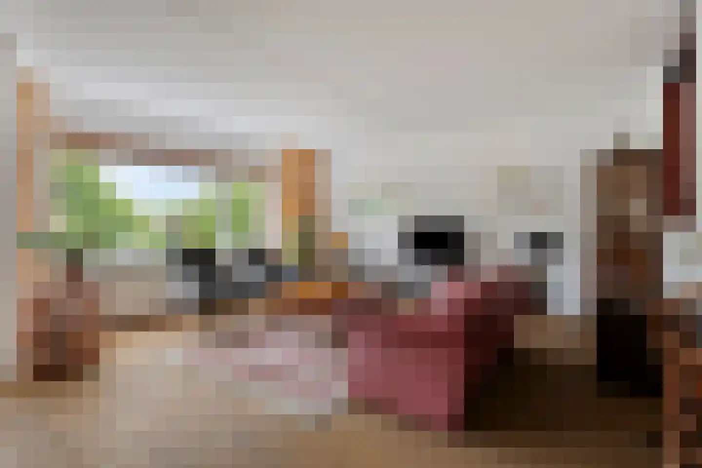 Wilhelminastraat 24 x Waalwijk thumbnail 11