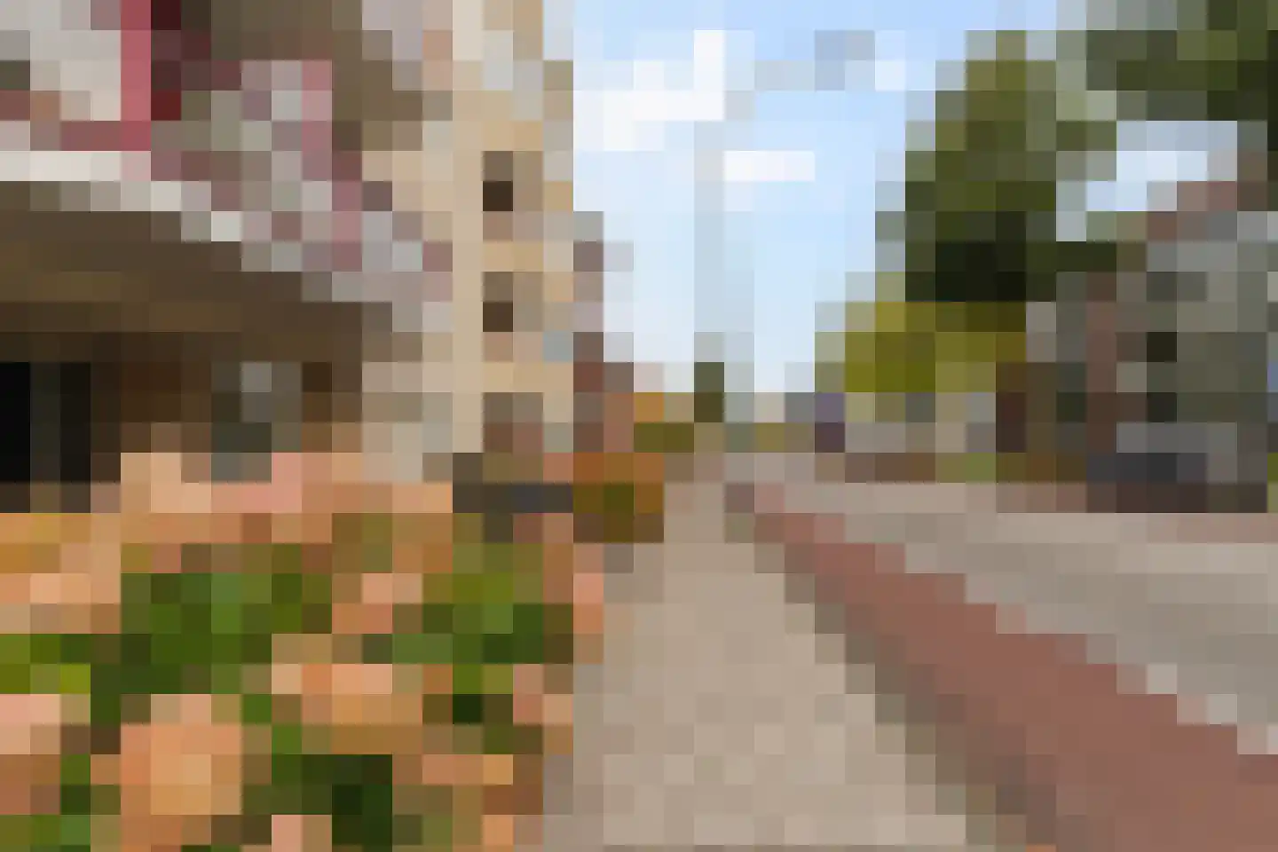 Wilhelminastraat 24 x Waalwijk thumbnail 25