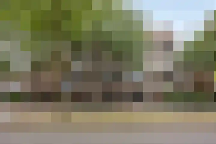Wilhelminastraat 243 Uden thumbnail 10