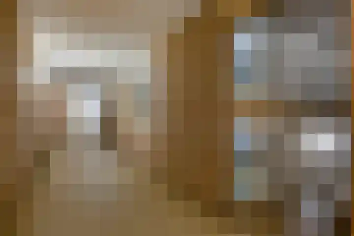 Wilhelminastraat 243 Uden thumbnail 11