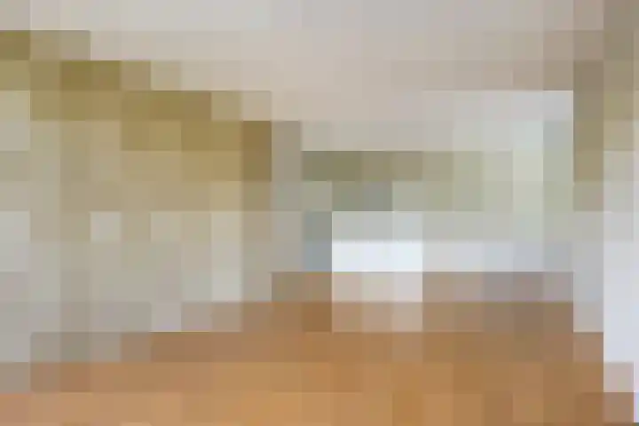 Wilhelminastraat 243 Uden thumbnail 14
