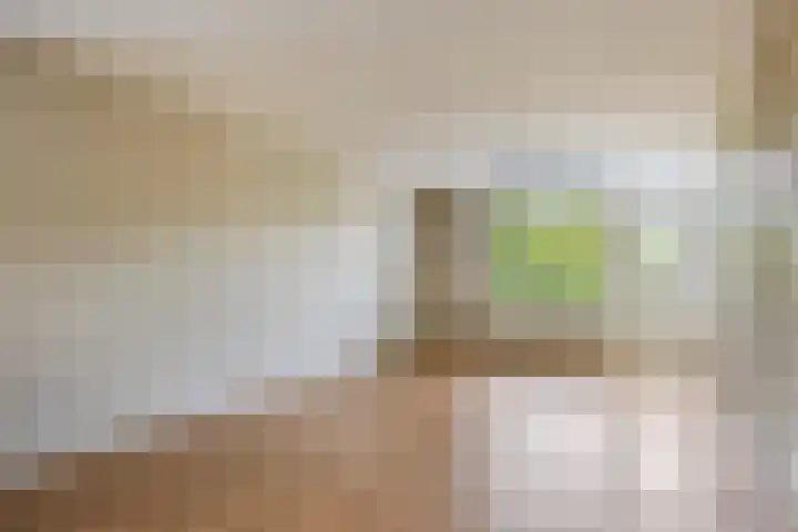 Wilhelminastraat 243 Uden thumbnail 16