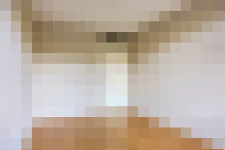 Wilhelminastraat 243 Uden thumbnail 17
