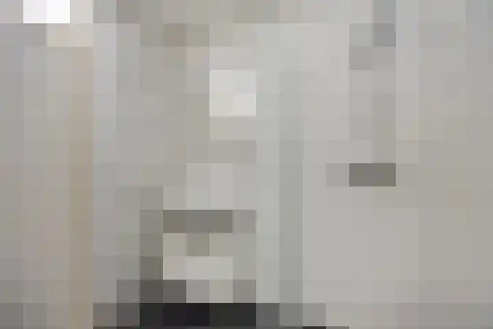 Wilhelminastraat 243 Uden thumbnail 18