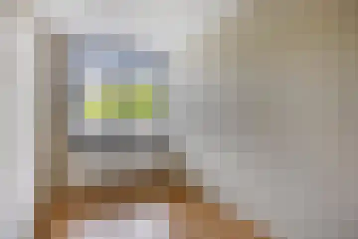 Wilhelminastraat 243 Uden thumbnail 19
