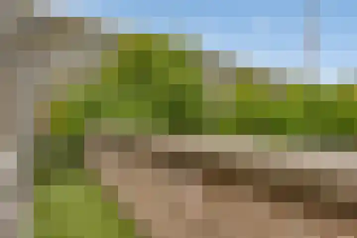 Wilhelminastraat 243 Uden thumbnail 21