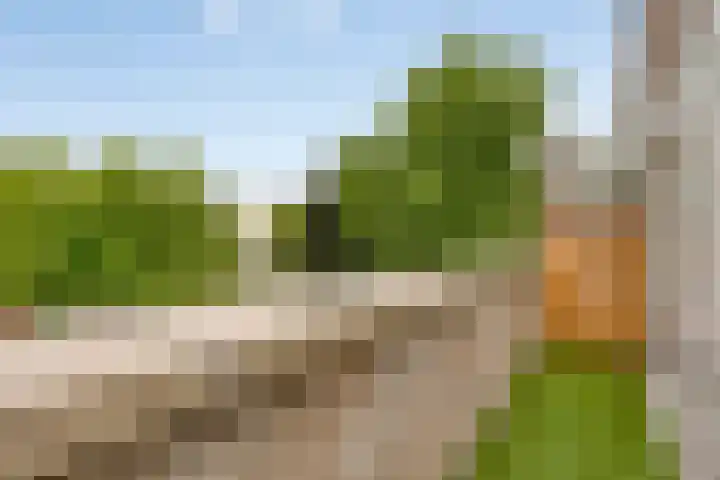 Wilhelminastraat 243 Uden thumbnail 22
