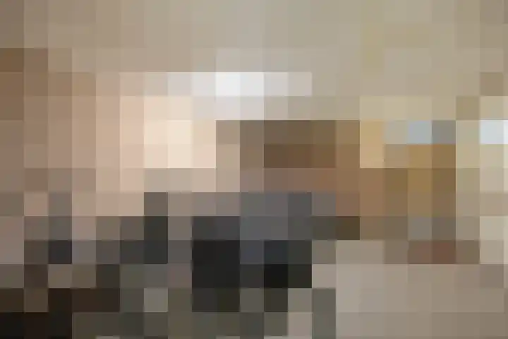 Wilhelminastraat 243 Uden thumbnail 24