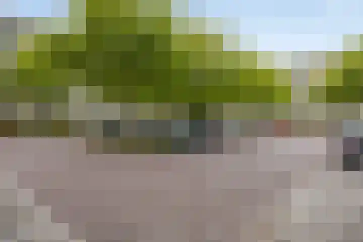 Wilhelminastraat 243 Uden thumbnail 26