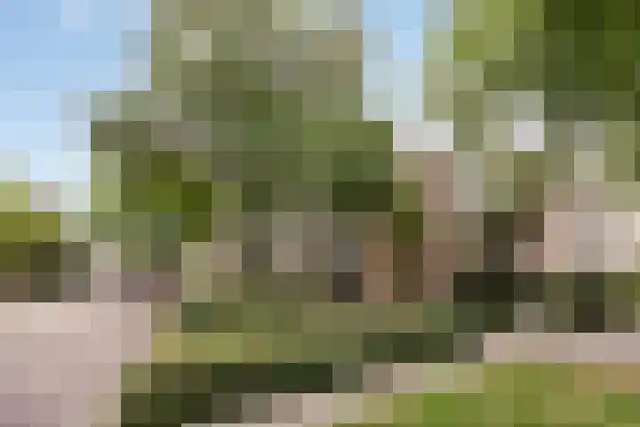 Wilhelminastraat 243 Uden thumbnail 27