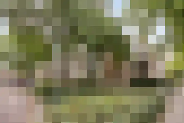 Wilhelminastraat 243 Uden thumbnail 28