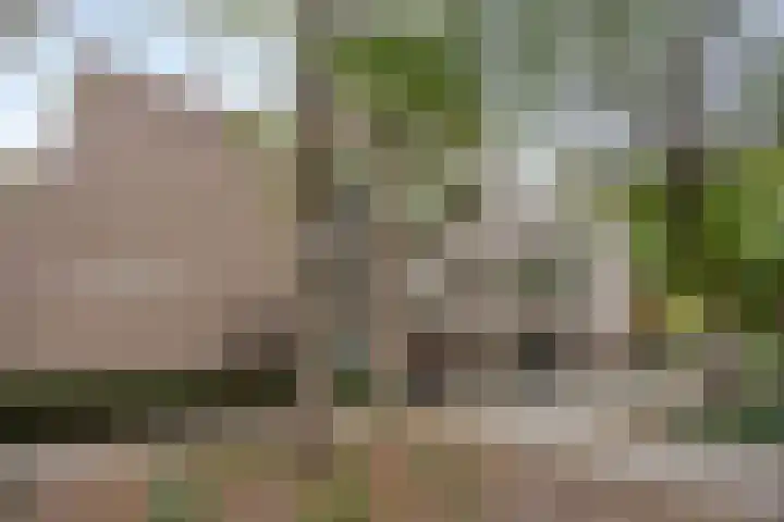 Wilhelminastraat 243 Uden thumbnail 30