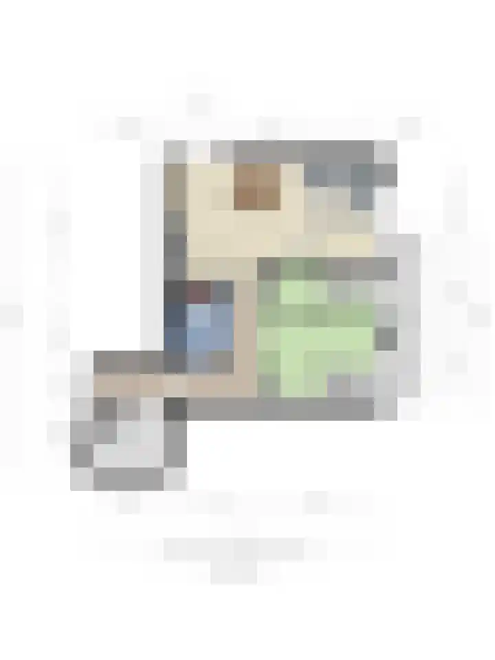 Wilhelminastraat 243 Uden thumbnail 32