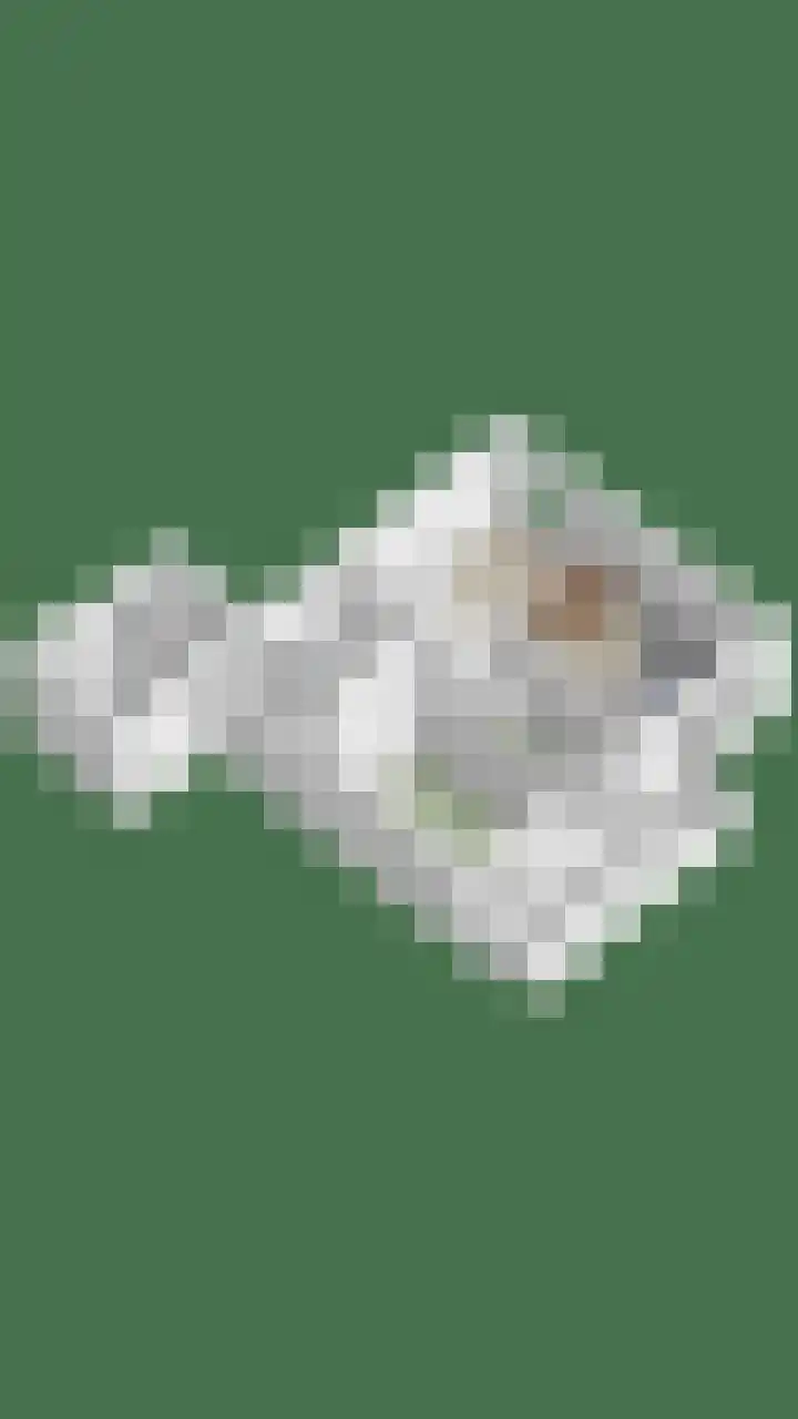 Wilhelminastraat 243 Uden thumbnail 33