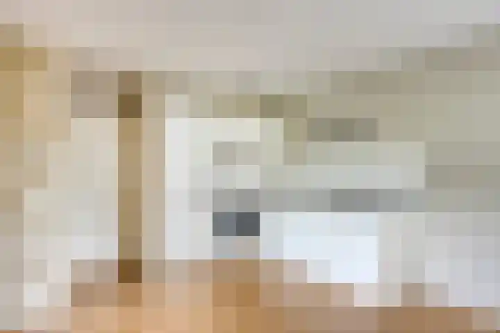 Wilhelminastraat 243 Uden thumbnail 4