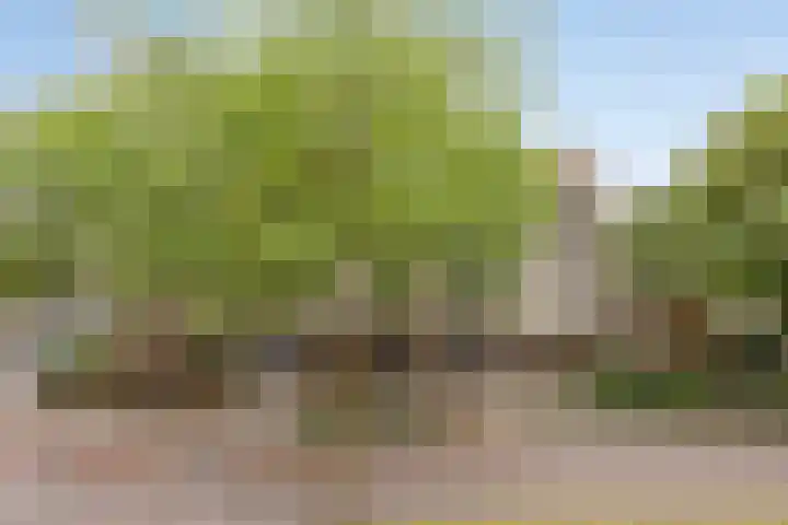 Wilhelminastraat 243 Uden thumbnail 9
