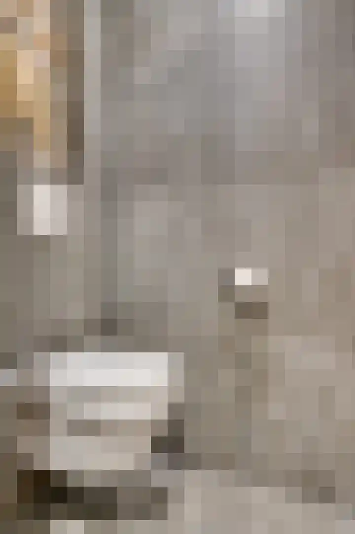 Wilhelminastraat 25 Belfeld thumbnail 18