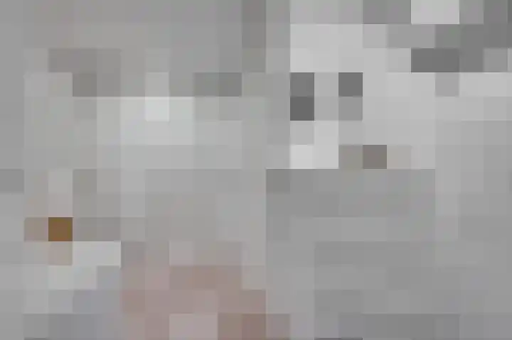 Wilhelminastraat 25 Belfeld thumbnail 20