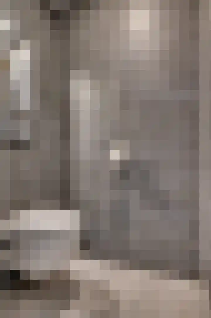 Wilhelminastraat 25 Belfeld thumbnail 21