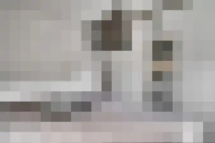 Wilhelminastraat 25 Belfeld thumbnail 24