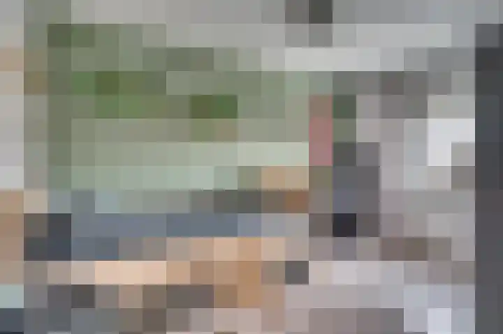 Wilhelminastraat 25 Belfeld thumbnail 29
