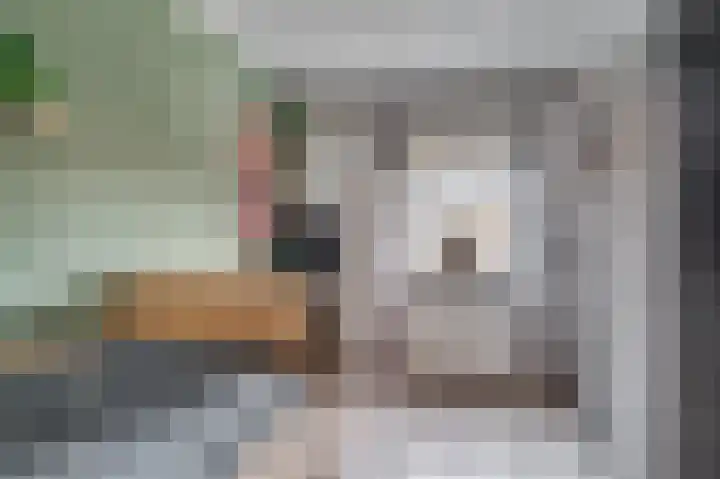 Wilhelminastraat 25 Belfeld thumbnail 30