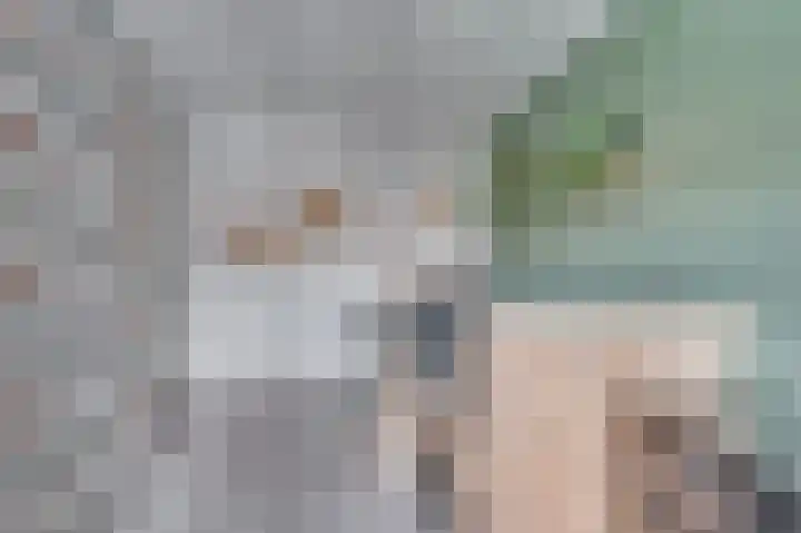 Wilhelminastraat 25 Belfeld thumbnail 31