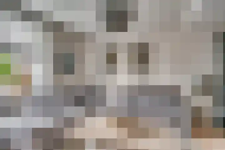 Wilhelminastraat 25 Belfeld thumbnail 5