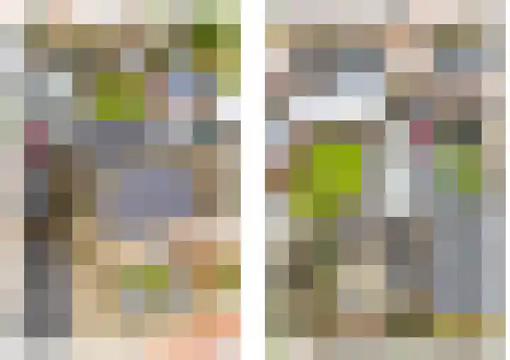 Wilhelminastraat 25 Belfeld thumbnail 55