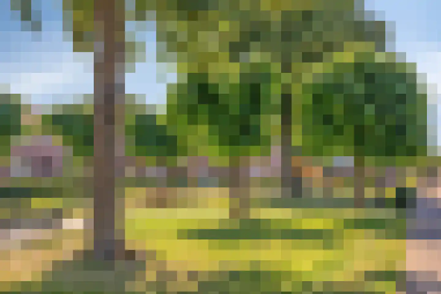 Wilhelminastraat 25 Cuijk thumbnail 37