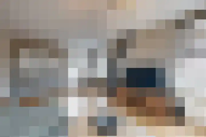 Wilhelminastraat 25 Fijnaart thumbnail 12