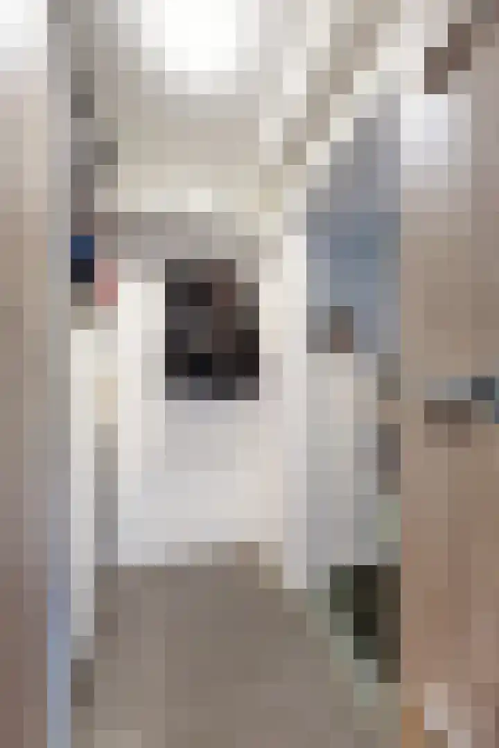 Wilhelminastraat 25 Fijnaart thumbnail 26