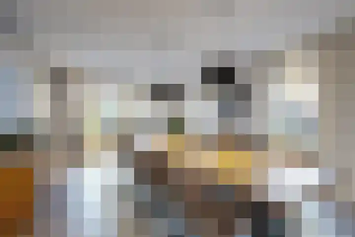 Wilhelminastraat 25 Fijnaart thumbnail 28