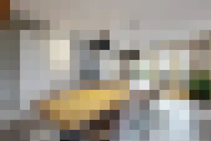 Wilhelminastraat 25 Fijnaart thumbnail 29