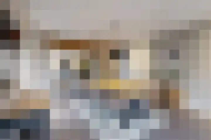 Wilhelminastraat 25 Fijnaart thumbnail 30