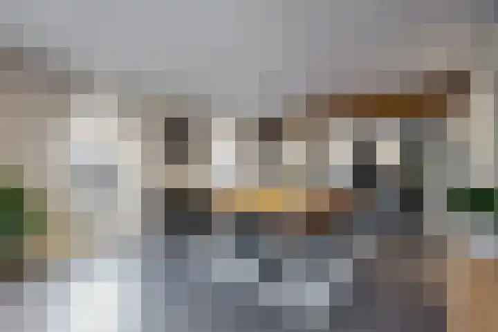 Wilhelminastraat 25 Fijnaart thumbnail 31
