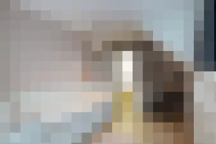 Wilhelminastraat 25 Fijnaart thumbnail 38