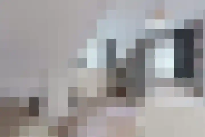 Wilhelminastraat 25 Fijnaart thumbnail 39