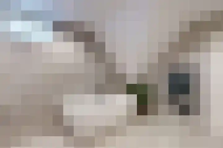 Wilhelminastraat 25 Fijnaart thumbnail 47