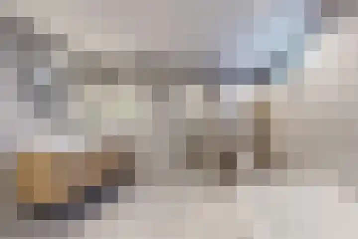 Wilhelminastraat 25 Fijnaart thumbnail 5