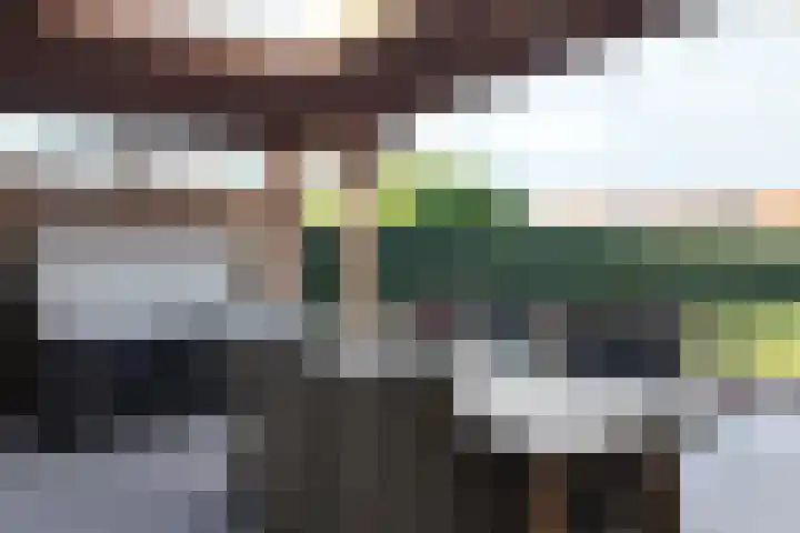 Wilhelminastraat 25 Fijnaart thumbnail 53