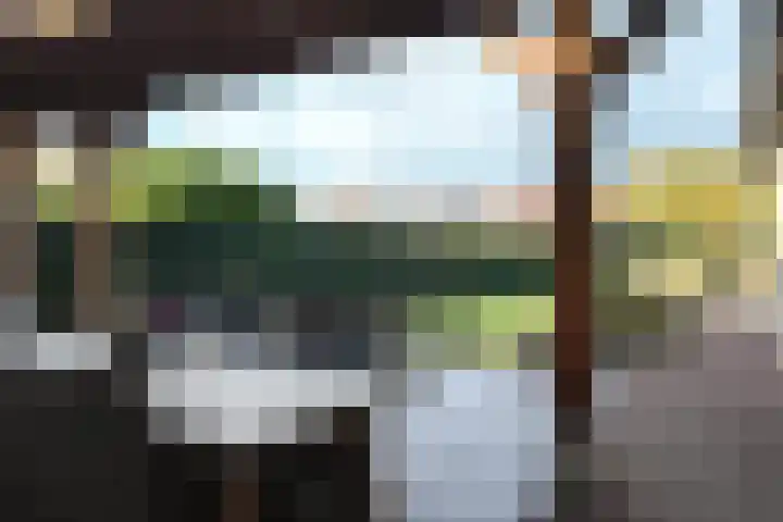 Wilhelminastraat 25 Fijnaart thumbnail 54