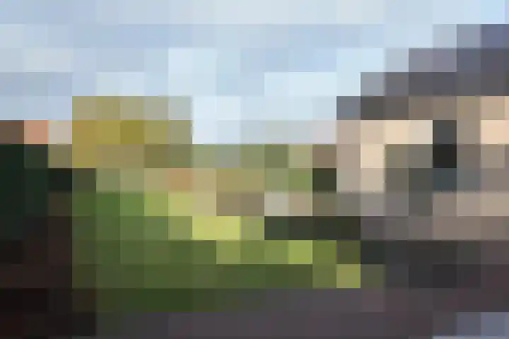 Wilhelminastraat 25 Fijnaart thumbnail 58