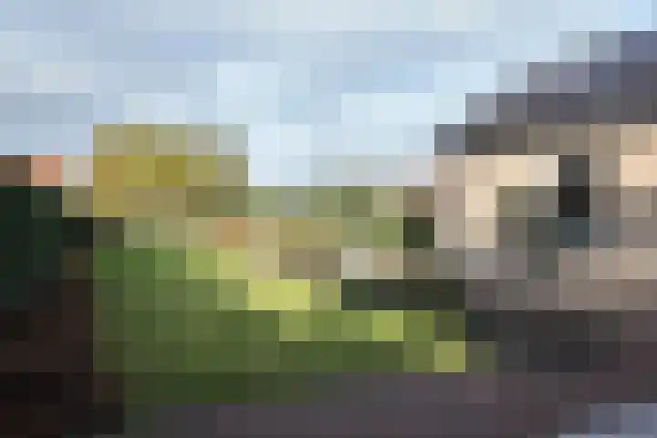 Wilhelminastraat 25 Fijnaart thumbnail 6